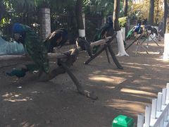 -荆州中山公园动物园