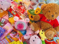 -蒲河岛湿地公园