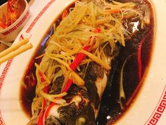-中国城银都鱼翅酒楼