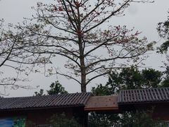 -大湾区中央湿地公园