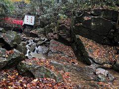 -藏龙百瀑风景区