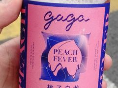 -gaga(深圳南山益田假日广场店)