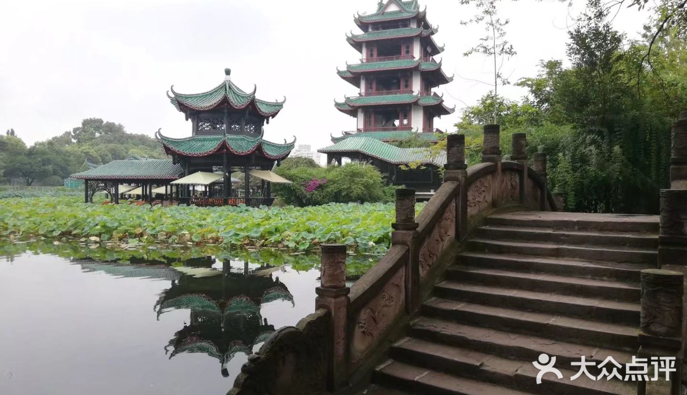 一个人在桂湖森林公园坐着发呆……