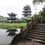 一个人在桂湖森林公园坐着发呆……