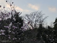 -广州市白云山风景名胜区