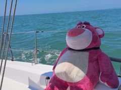 -中华人民共和国水准零点