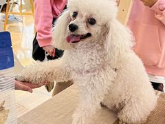 -金茂览秀城