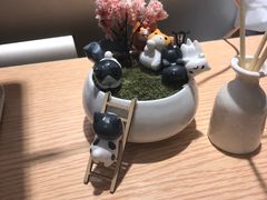 -Pets First伊珊娜洗护·精致美容·家庭式寄养(新会路店)
