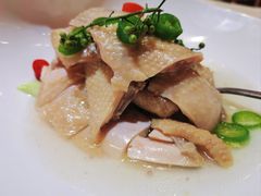 鲜沙姜脆皮鸡-好福记饭店(红梅公园店)