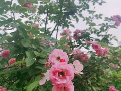 -人民公园(罗湖区)