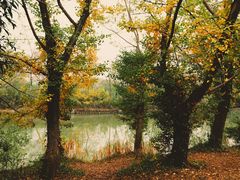 -西溪国家湿地公园