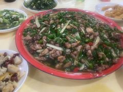 -东吴霸王兔(松青路店)