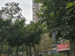 -高记什邡肖麻辣(成都店)