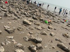 -天津东疆湾沙滩景区