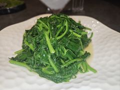 豌豆苗-湖鱼湖·蓉亭食贝(亚运村店)