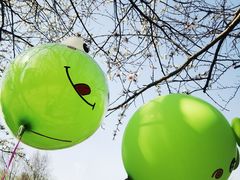 -长白岛森林公园