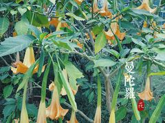 -国家植物园南园