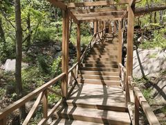 -大岭沟猕猴桃谷风景区