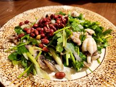 鲜沙姜捞八爪鱼-常来小聚·广州非遗传承餐厅(地王广场店)
