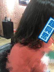 -呈美国际美肤养生艾洗造型