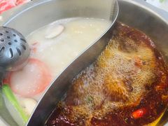 鸳鸯锅-红菇坊鲜汤火锅(北行店)