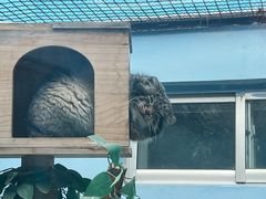 -青藏高原野生动物园