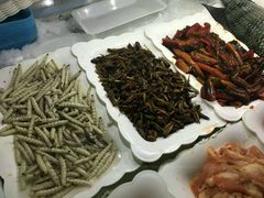 -绿草墩