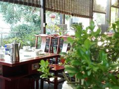 -先机泉水鸡汤(南山老君洞店)
