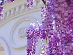 -邛海宾馆·玉鸥楼中餐厅
