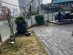 -树厨贵州菜(铜仁花果山店)