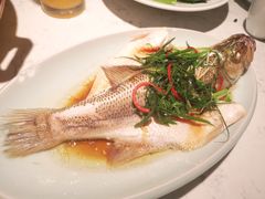 蒸鱼-大榕树下顺德菜(融创茂店)