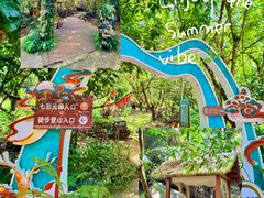 -七仙岭温泉国家森林公园