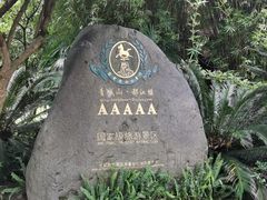-都江堰景区