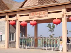 -上海都市菜园