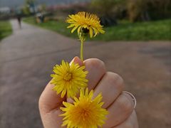 -云漫湖生态度假公园