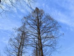 -宜城私房菜.臭鳜鱼(九华新街店)