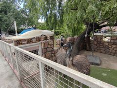 -金庭庄园酒店-停车场