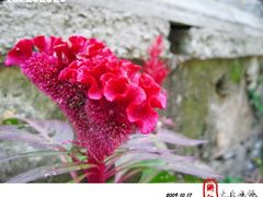 -山沟沟景区