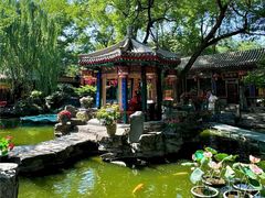 -白家大院·王府宫廷菜(苏州街店)