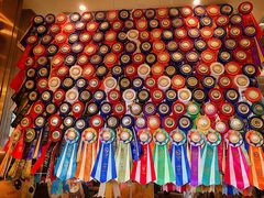 -more than meow吴止猫主题餐厅(承德 中船汇店)