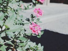 -安仁古镇
