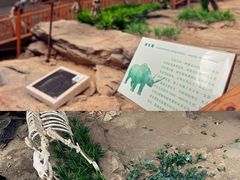 -中国第四纪冰川遗迹陈列馆