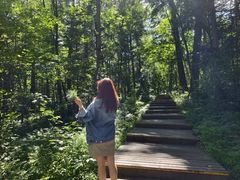 -五营红松林海景区