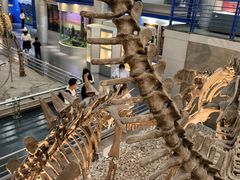 -国家自然博物馆