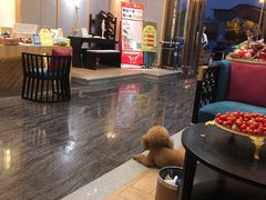 -豪爵足道·SPA(二七路店)