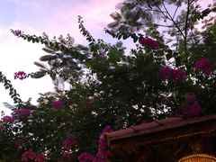 -Lam Vien Restaurant