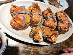 -月湖翠·上海菜(思南公馆淮海店)