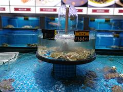 水产区-梦都海鲜酒家(万达广场江桥店)