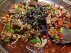 -肥家大排档(天河体育西店)