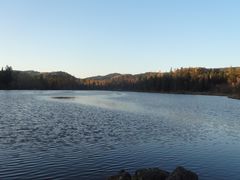 景点-五营红松林海景区